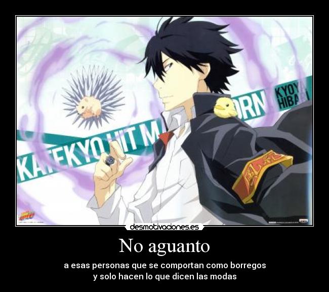 carteles personas borregos modas kyoya hibari reborn neuro desmotivaciones
