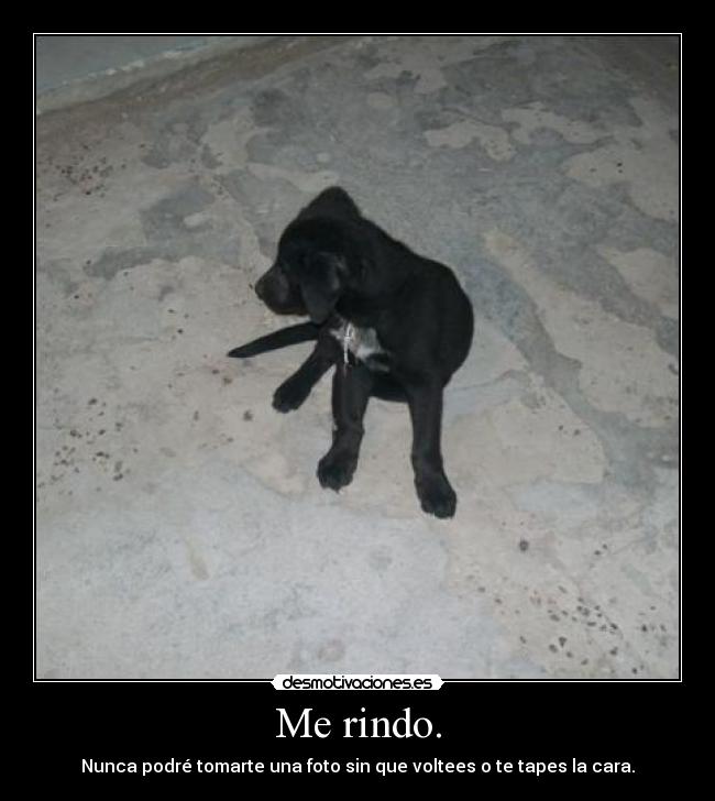 Me rindo. -