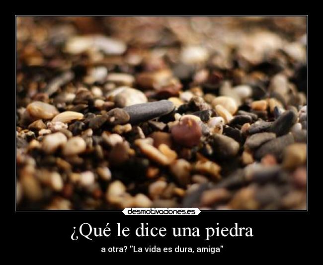 ¿Qué le dice una piedra - a otra? La vida es dura, amiga