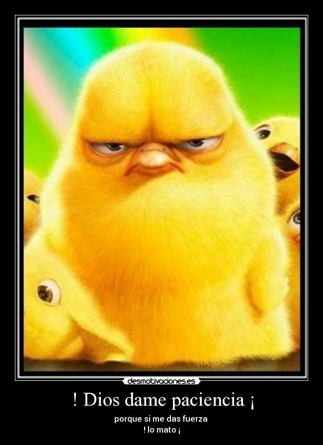 carteles dios dios dame paciencia dios dame paciencia mato desmotivaciones