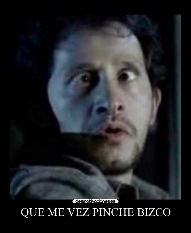 QUE ME VEZ PINCHE BIZCO - 