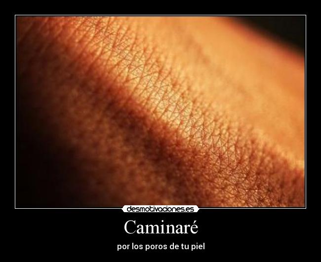 Caminaré -
