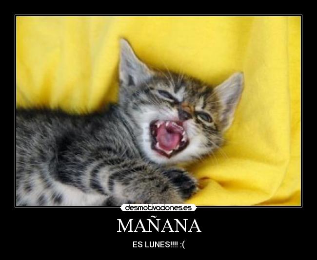 MAÑANA - ES LUNES!!!! :(