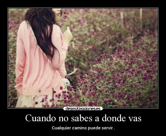 carteles todo esta perdido desmotivaciones