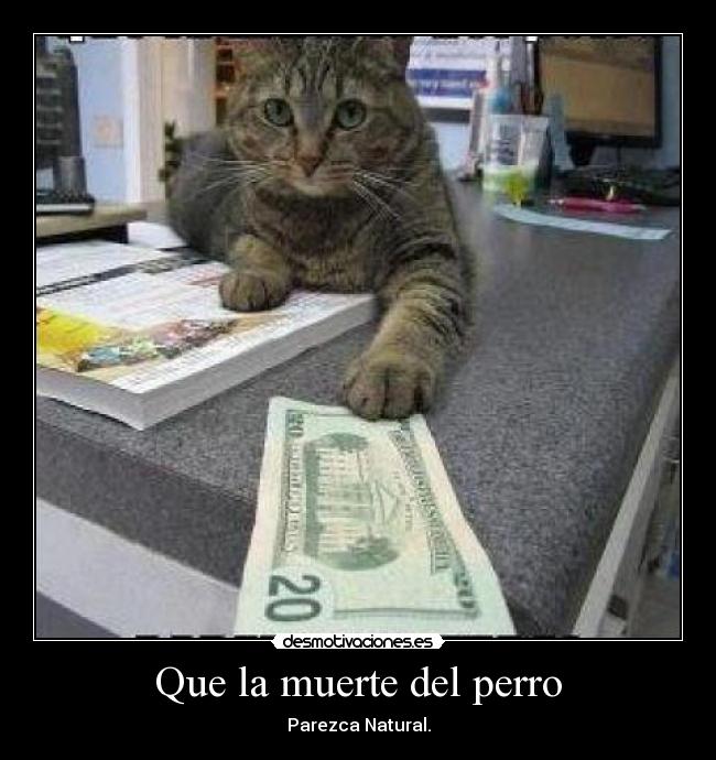 Que la muerte del perro - Parezca Natural.