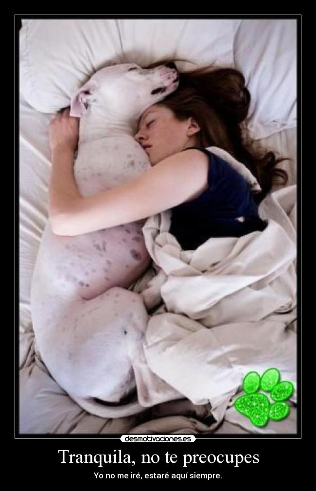 Tranquila, no te preocupes - Yo no me iré, estaré aquí siempre.