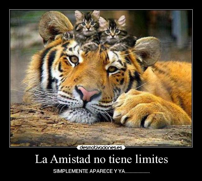 La Amistad no tiene limites -