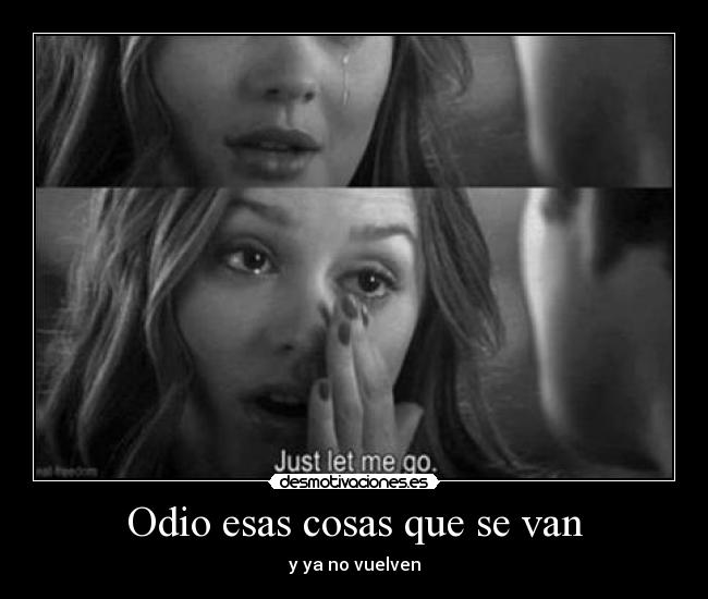 Odio esas cosas que se van -