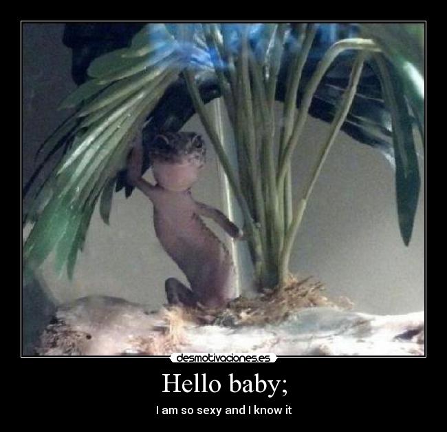 Hello baby; - I am so sexy and I know it