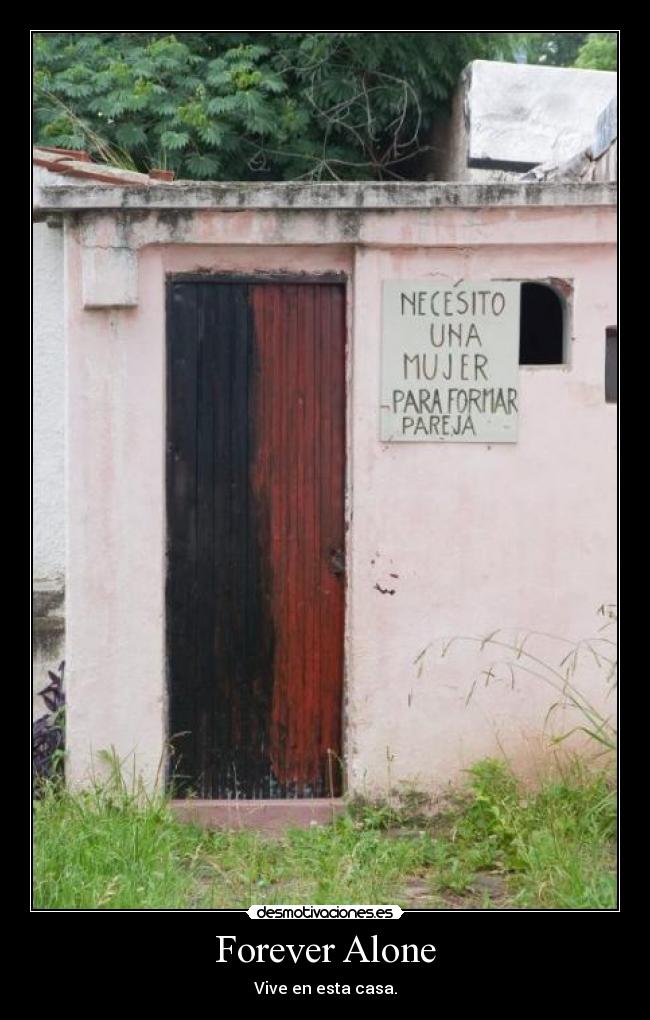 carteles solo forever alone desmotivaciones