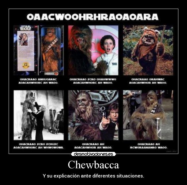 Chewbacca - Y su explicación ante diferentes situaciones.
