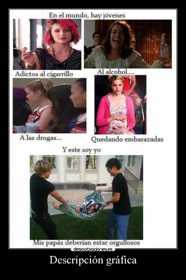 Descripción gráfica -