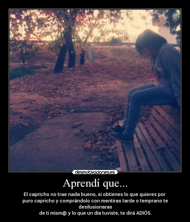 Aprendí que... - El capricho no trae nada bueno, si obtienes lo que quieres por
puro capricho y comprándolo con mentiras tarde o temprano te desilusionaras
de ti mism@ y lo que un día tuviste, te dirá ADIÓS.