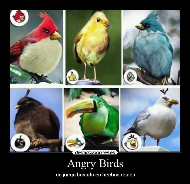 Angry Birds - un juego basado en hechos reales