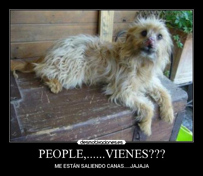 PEOPLE,......VIENES??? -