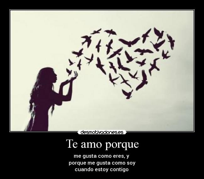 carteles amo porque desmotivaciones