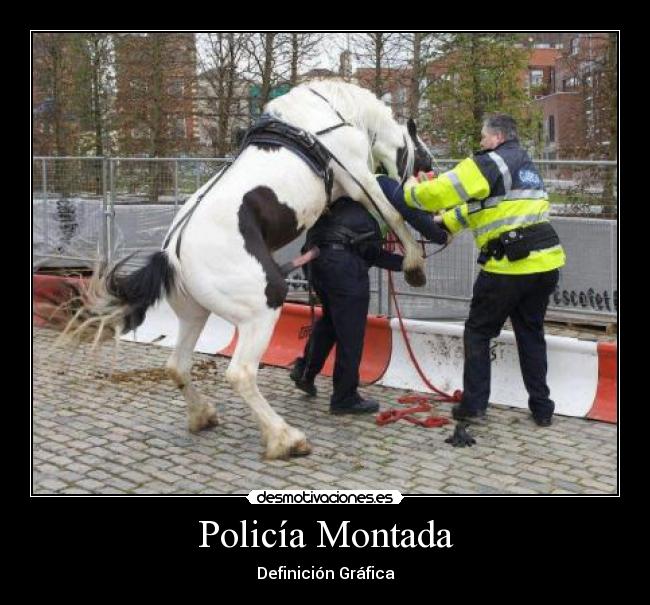 Policía Montada - Definición Gráfica