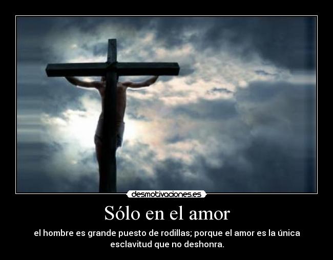 Sólo en el amor - 