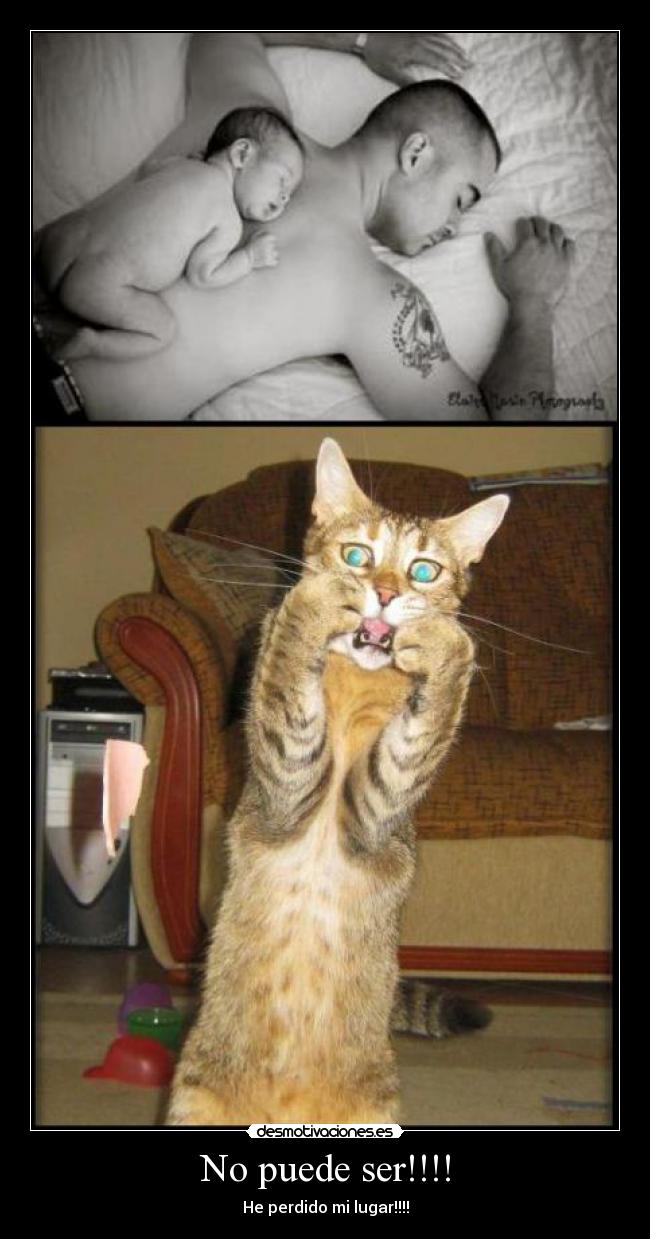 No puede ser!!!! - He perdido mi lugar!!!!