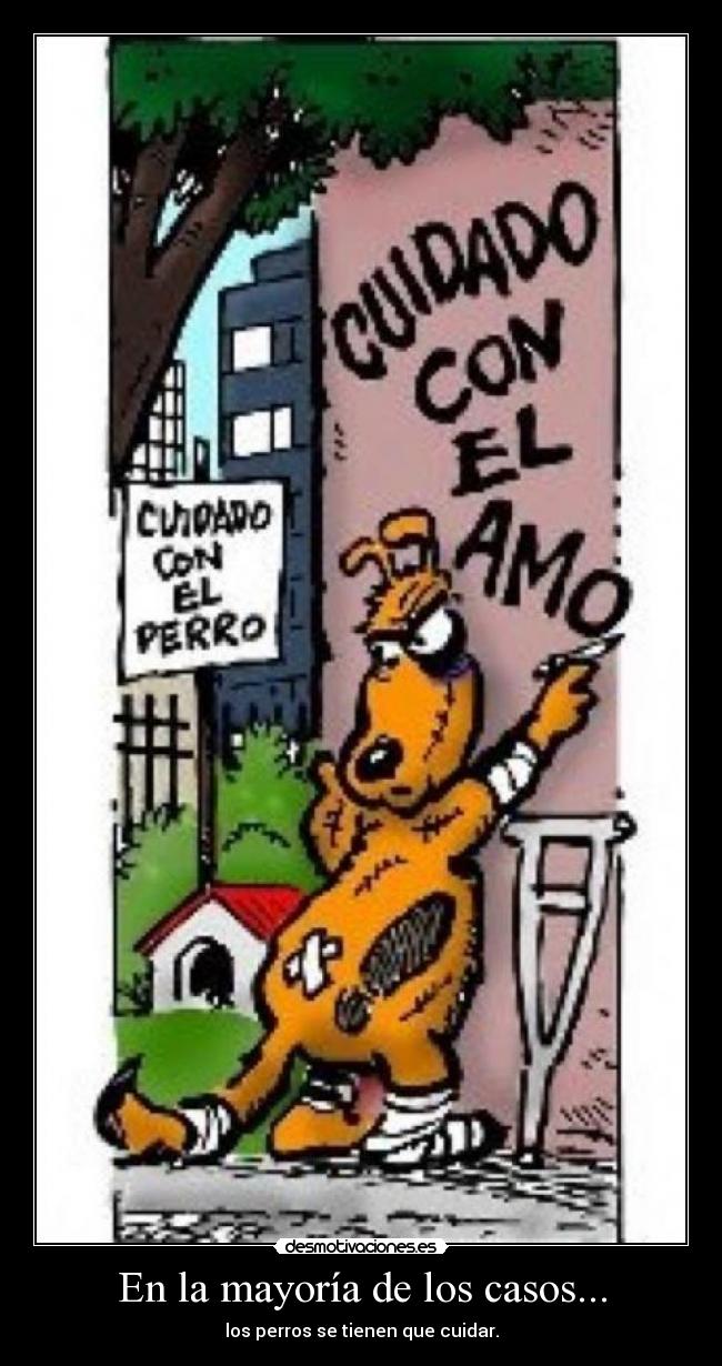 En la mayoría de los casos... - los perros se tienen que cuidar.