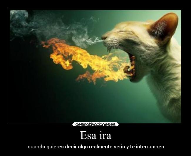 Esa ira - cuando quieres decir algo realmente serio y te interrumpen