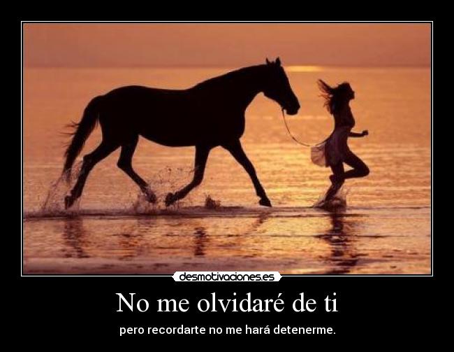 carteles detenerte desmotivaciones