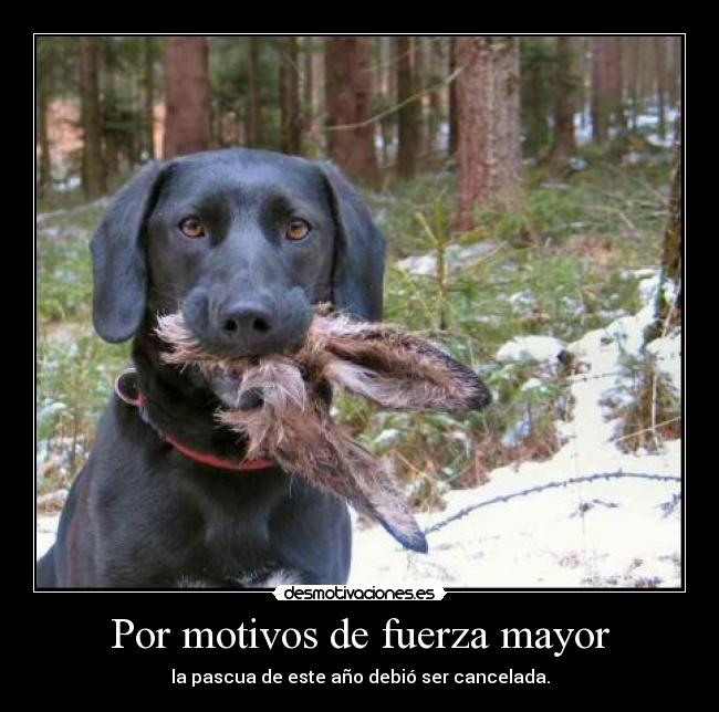 Por motivos de fuerza mayor - la pascua de este año debió ser cancelada.