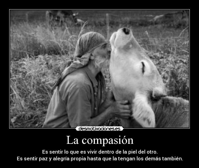 La compasión - Es sentir lo que es vivir dentro de la piel del otro.
Es sentir paz y alegría propia hasta que la tengan los demás también.
