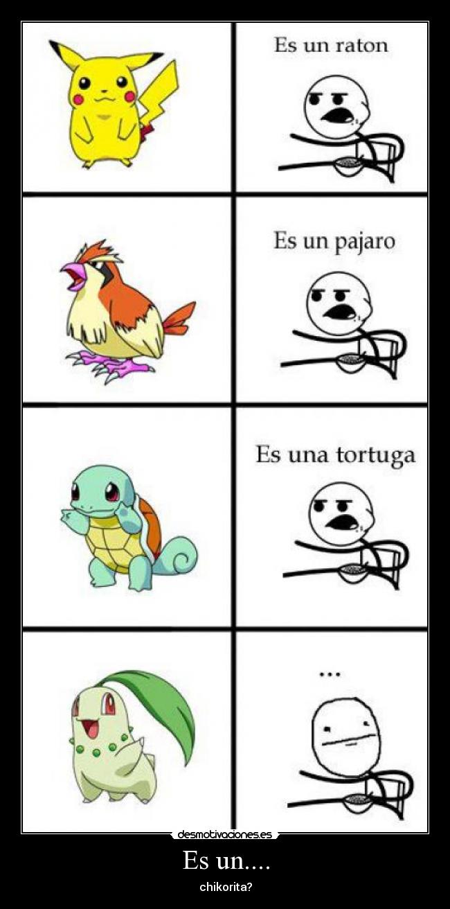 Es un.... - chikorita?