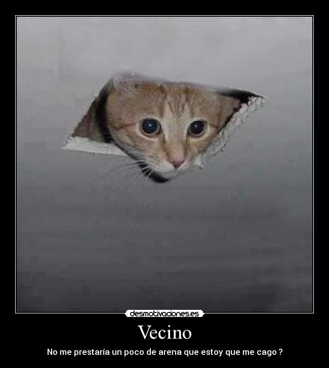 Vecino - 