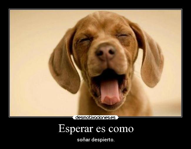 Esperar es como - soñar despierto.