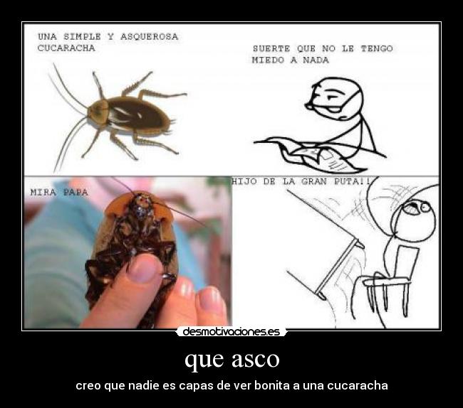 que asco - creo que nadie es capas de ver bonita a una cucaracha