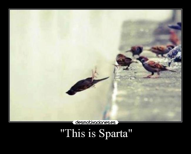This is Sparta -