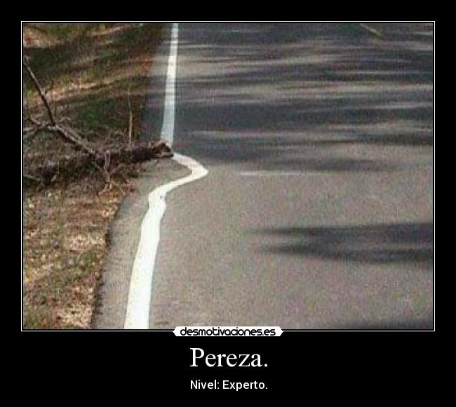 Pereza. - Nivel: Experto.