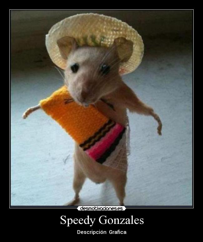 carteles ghghgjhjh desmotivaciones