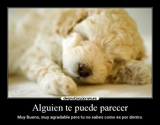 Alguien te puede parecer -