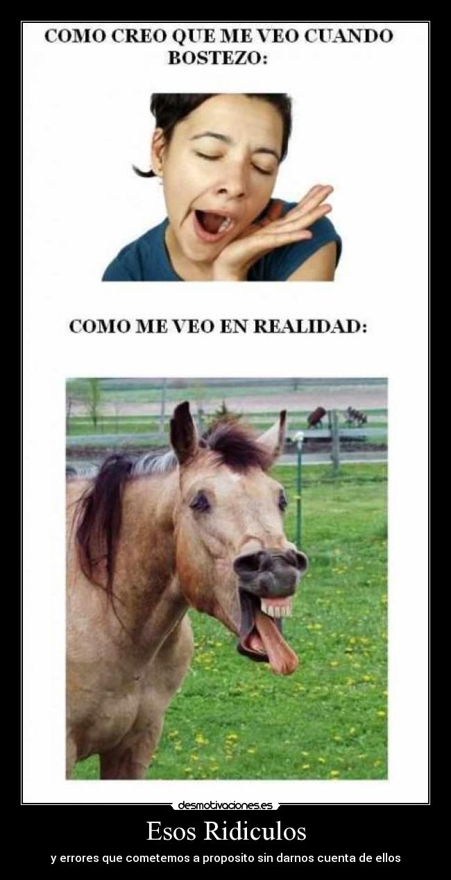 carteles fcghdfgdjfgd desmotivaciones