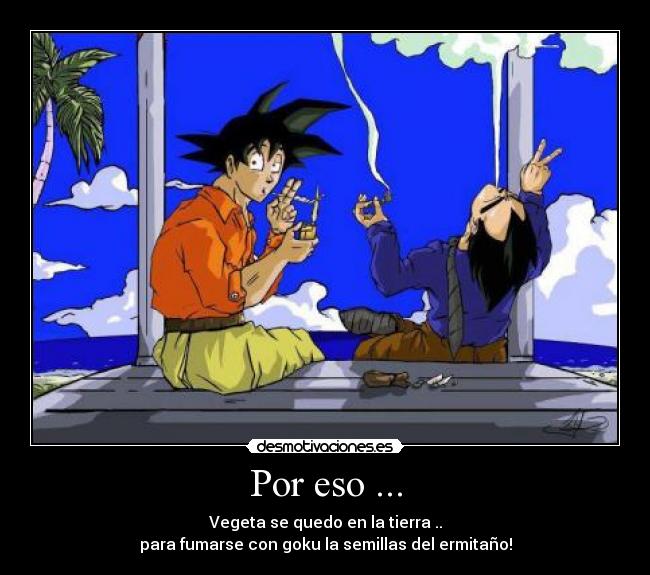 Por eso ... - Vegeta se quedo en la tierra ..
para fumarse con goku la semillas del ermitaño!