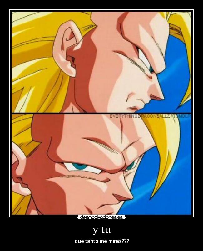 y tu - que tanto me miras???