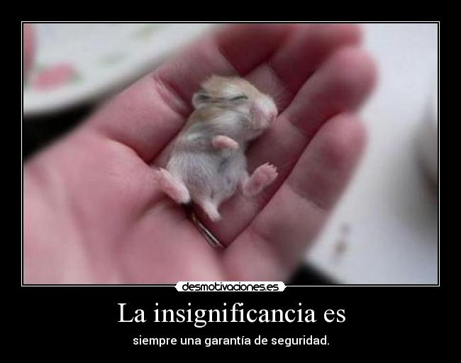 La insignificancia es - siempre una garantía de seguridad.