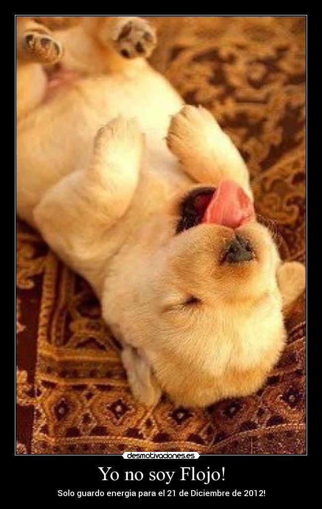Yo no soy Flojo! - 