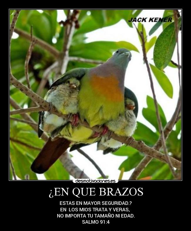 ¿EN QUE BRAZOS - ESTAS EN MAYOR SEGURIDAD.?
EN  LOS MIOS TRATA Y VERAS, 
NO IMPORTA TU TAMAÑO NI EDAD.
SALMO 91:4