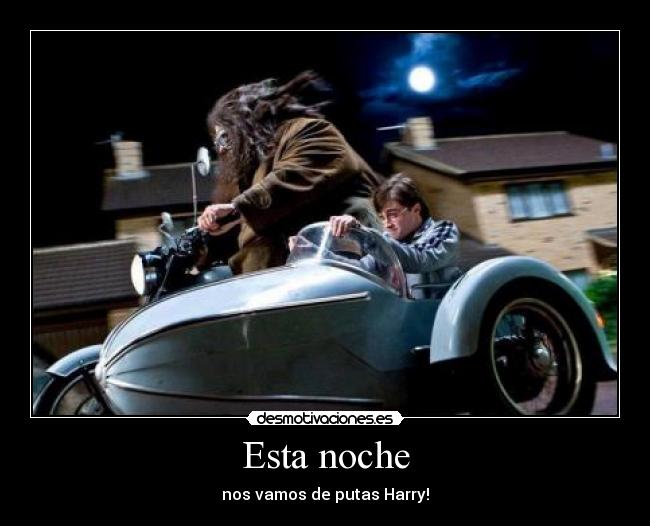Esta noche - nos vamos de putas Harry!