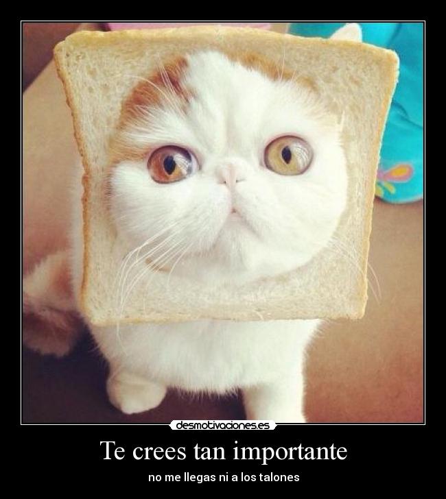 Te crees tan importante - 