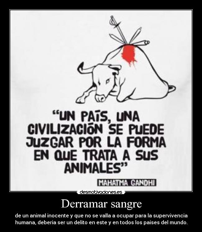 carteles tauricidas derramar sengre delito desmotivaciones