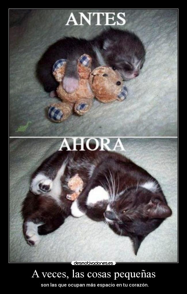 A veces, las cosas pequeñas - ♥ son las que ocupan más espacio en tu corazón.♥