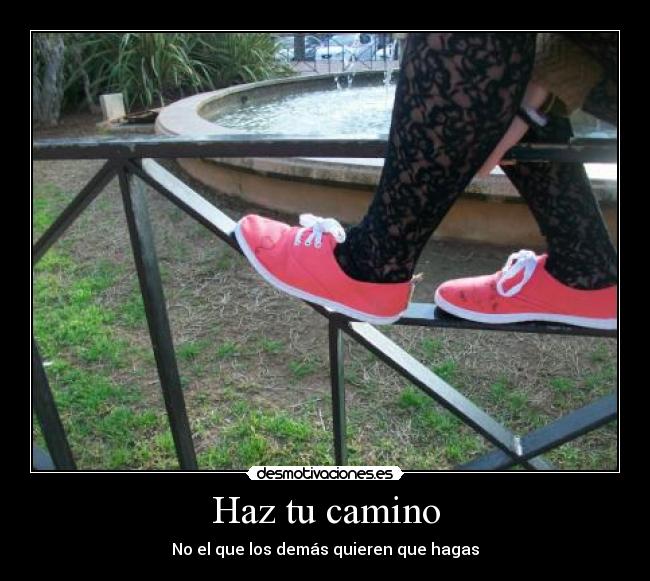Haz tu camino - 