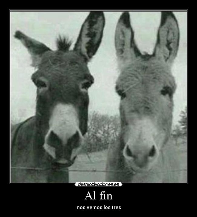 Al fin - nos vemos los tres