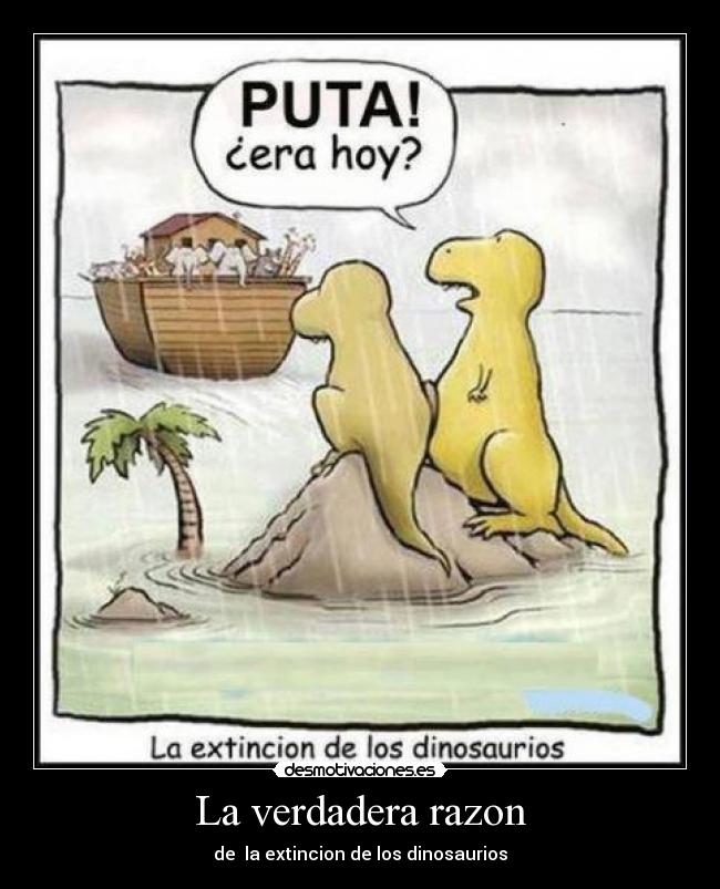 La verdadera razon -