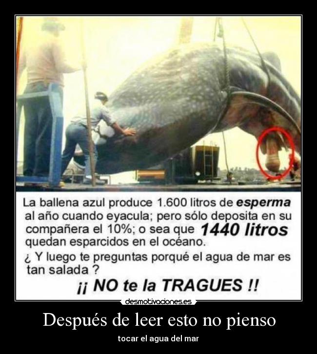 Después de leer esto no pienso - 